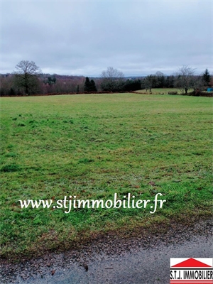 terrain à la vente -   16420  BRIGUEUIL, surface 5220 m2 vente terrain - APR742048